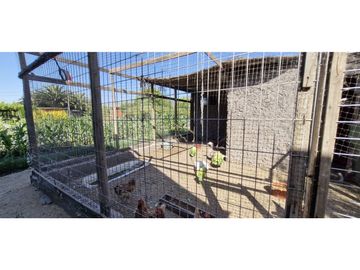Venta de parcela de 10.000 m2., en venta en San Pedro, Quillota. Árboles y hortalizas en producción.