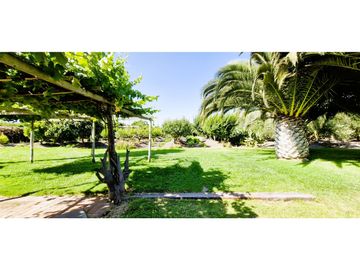 Venta de parcela de 10.000 m2., en venta en San Pedro, Quillota. Árboles y hortalizas en producción.