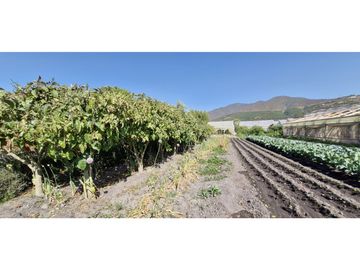 Venta de parcela de 10.000 m2., en venta en San Pedro, Quillota. Árboles y hortalizas en producción.