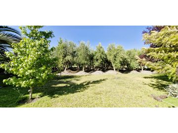 Venta de parcela de 10.000 m2., en venta en San Pedro, Quillota. Árboles y hortalizas en producción.
