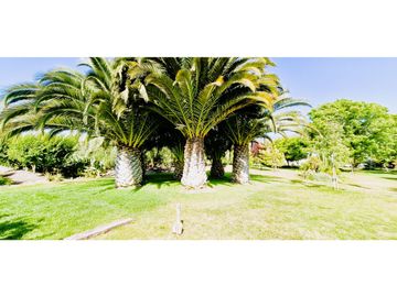 Venta de parcela de 10.000 m2., en venta en San Pedro, Quillota. Árboles y hortalizas en producción.