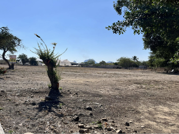 Terreno en venta en Amayuca Jantetelco Morelos