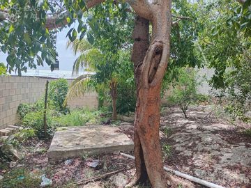 Casa en  venta en Orquídeas