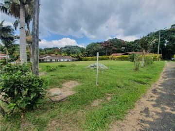 SE VENDE FINCA PRODUCTIVA VEREDA ENTRE FILANDIA - QUIMBAYA
