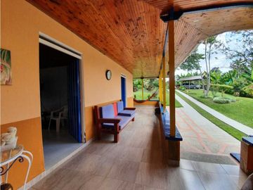 SE VENDE FINCA PRODUCTIVA VEREDA ENTRE FILANDIA - QUIMBAYA