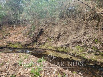 Casa en terreno de 7 mil mts2 con lindo estero