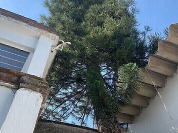 Casa en Venta en Paseos del Sur, Xochimilco