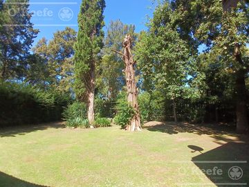 Quinta en venta. El Pato, sobre lote de 1200 m2. 6 ambientes con Pileta