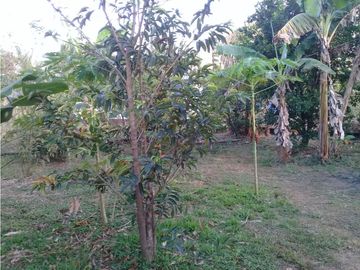 Sea Confiable vende  propiedad (2  viviendas )ubicada en Pesé