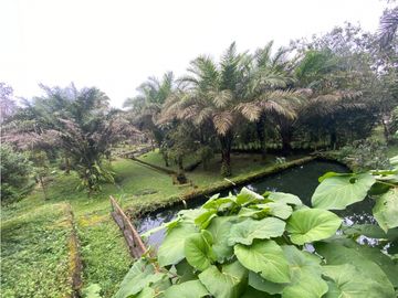 Vendo Linda finca en Cuesta de Piedra Volcan Chiriqui