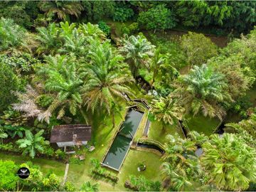 Vendo Linda finca en Cuesta de Piedra Volcan Chiriqui