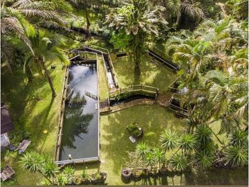 Vendo Linda finca en Cuesta de Piedra Volcan Chiriqui