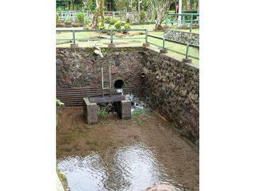 Vendo Linda finca en Cuesta de Piedra Volcan Chiriqui