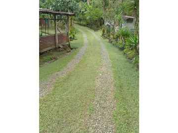 Vendo Linda finca en Cuesta de Piedra Volcan Chiriqui