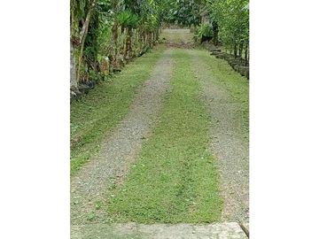Vendo Linda finca en Cuesta de Piedra Volcan Chiriqui
