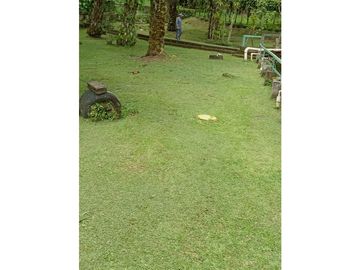 Vendo Linda finca en Cuesta de Piedra Volcan Chiriqui