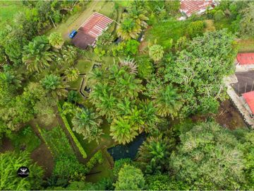Vendo Linda finca en Cuesta de Piedra Volcan Chiriqui