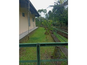 Vendo Linda finca en Cuesta de Piedra Volcan Chiriqui