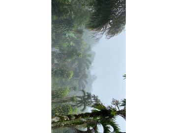 Vendo Linda finca en Cuesta de Piedra Volcan Chiriqui