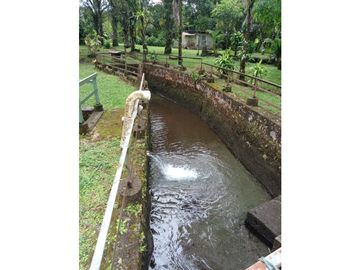 Vendo Linda finca en Cuesta de Piedra Volcan Chiriqui