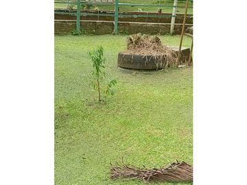 Vendo Linda finca en Cuesta de Piedra Volcan Chiriqui