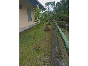 Vendo Linda finca en Cuesta de Piedra Volcan Chiriqui