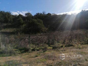 Parcela En Venta En Casablanca