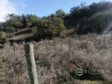 Parcela En Venta En Casablanca