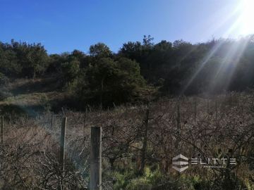 Parcela En Venta En Casablanca