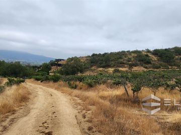 Parcela En Venta En Casablanca