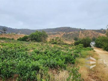 Parcela En Venta En Casablanca