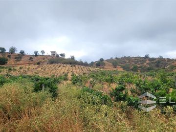 Parcela En Venta En Casablanca