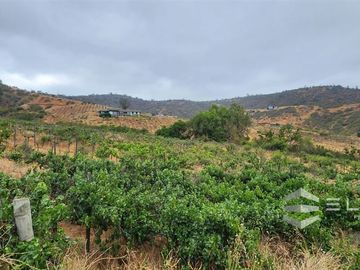 Parcela En Venta En Casablanca