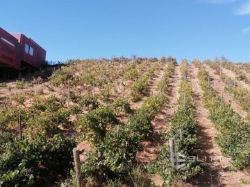 Parcela En Venta En Casablanca