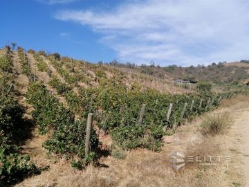 Parcela En Venta En Casablanca