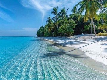 EN VENTA DEPARTAMENTO EN MAHAHUAL DE 1 HABITACION CON ALBERCA Y YOGA