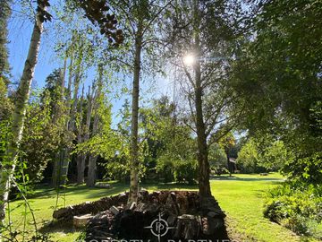 Preciosa casa en parcela rodeada de árboles nativos