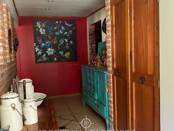 Preciosa casa en parcela rodeada de árboles nativos