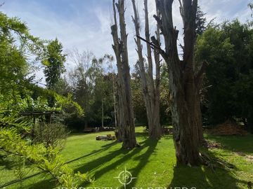 Preciosa casa en parcela rodeada de árboles nativos