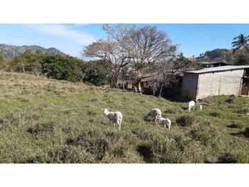 ESPECTACULAR RANCHO EN VILLACORZO EN SAN PEDRO BUENA VISTA, CHIAPAS