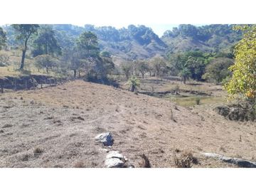 ESPECTACULAR RANCHO EN VILLACORZO EN SAN PEDRO BUENA VISTA, CHIAPAS