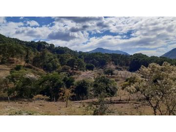 ESPECTACULAR RANCHO EN VILLACORZO EN SAN PEDRO BUENA VISTA, CHIAPAS