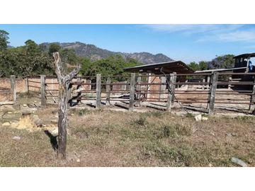 ESPECTACULAR RANCHO EN VILLACORZO EN SAN PEDRO BUENA VISTA, CHIAPAS