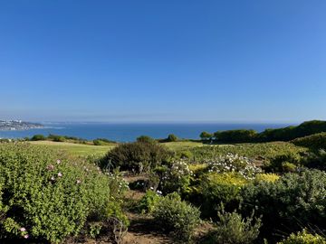 COSTA CACHAGUA
