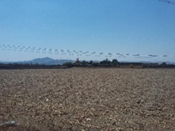 Venta de  Hacienda San Antonio en Puebla – Ideal para Desarrollo Co