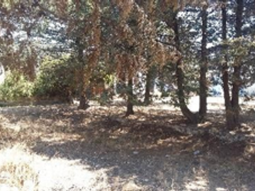 Venta de  Hacienda San Antonio en Puebla – Ideal para Desarrollo Co