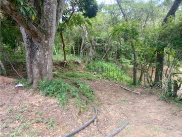 ESTUPENDO RANCHO DE DOBLE PROPOSITO CERCA DE JIQUIPILAS, CHIAPAS