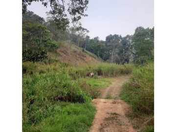 INCREIBLE PROPIEDAD PARA UNA QUINTA EN SAN FERNANDO, CHIAPAS
