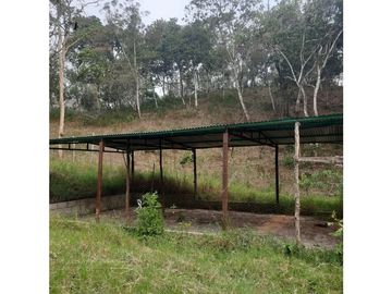 INCREIBLE PROPIEDAD PARA UNA QUINTA EN SAN FERNANDO, CHIAPAS