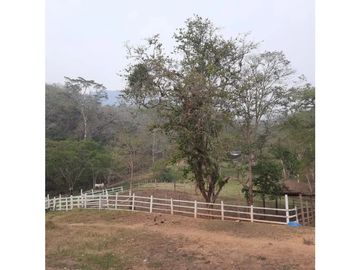 INCREIBLE PROPIEDAD PARA UNA QUINTA EN SAN FERNANDO, CHIAPAS